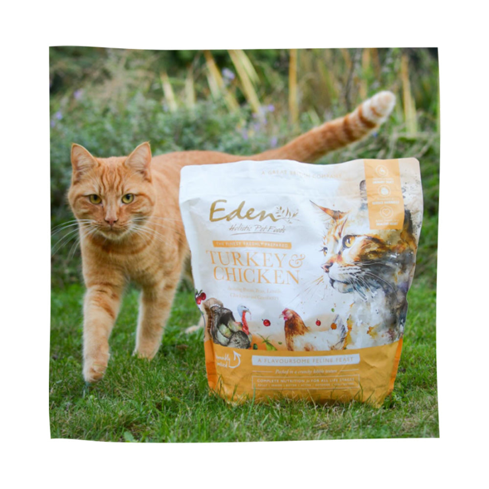 Eden Feline Feast Turkey & Chicken Dry Cat Food