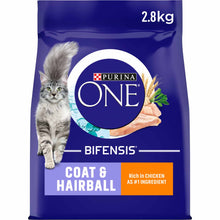 Purina ONE Coat & Hairball Adult Dry Cat Food