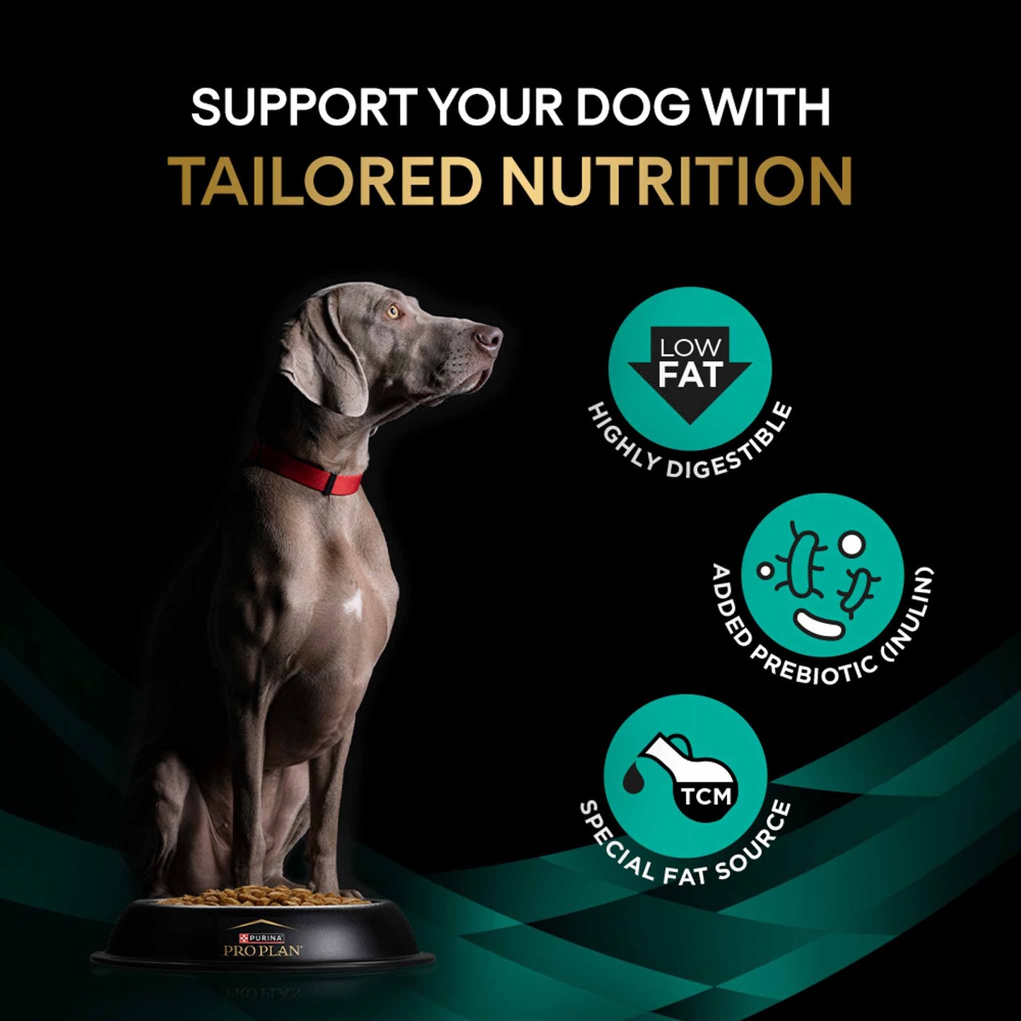 PRO PLAN® Veterinary Diets EN Gastrointestinal Low Fat Dry Dog Food