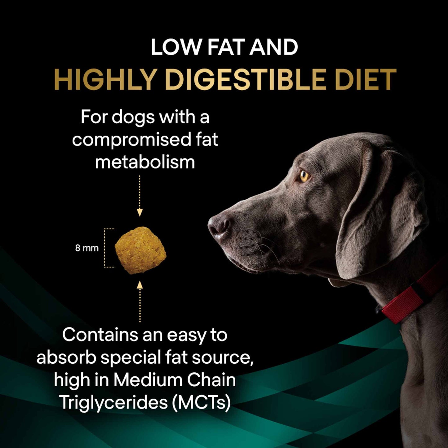 PRO PLAN® Veterinary Diets EN Gastrointestinal Low Fat Dry Dog Food