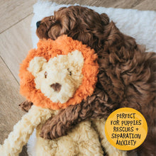 Rosewood My Dog Lion Stuffingless Dog Toy