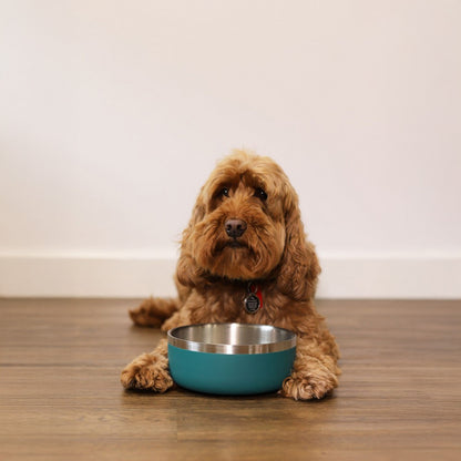Rosewood Premium Pet Bowl - Teal - 1200ml