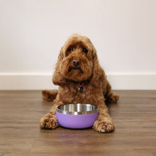 Rosewood Premium Pet Bowl - Lilac - 700ml