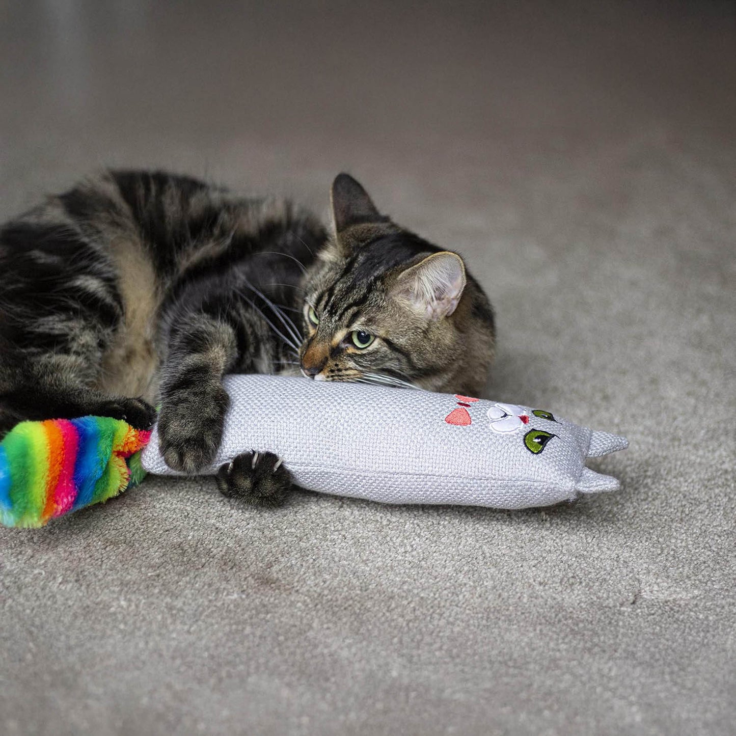 Rosewood Moody Moggy Rainbow Cat Kicker