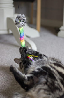 Rosewood Moody Moggy Cat Rainbow Teaser