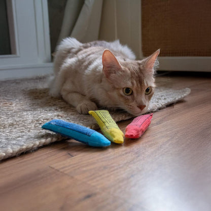 Yeowww!-Ola Crayon Cat Toy - 3 pack