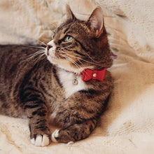 Rosewood Catwalk Collection Bow Tie Red Cat Collar