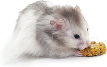 Rosewood Naturals Papaya 'N' Peanut Cookies for Small Animals