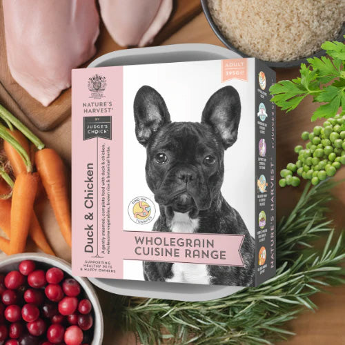 Natures Harvest Adult Wet Dog Food - Duck, Chicken & Brown Rice - 10x395g Trays