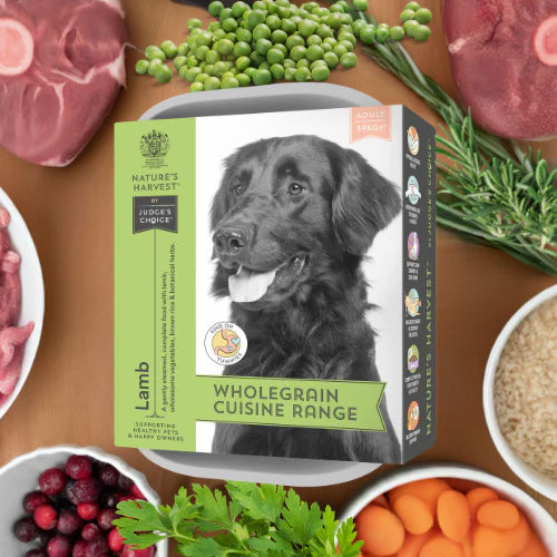 Natures Harvest Adult Wet Dog Food - Lamb & Brown Rice - 10x395g Trays