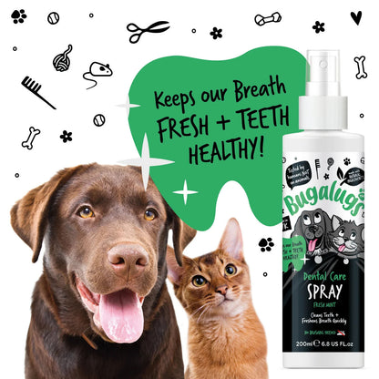 Bugalugs Dental Care Spray Fresh Mint for Dogs & Cats - 200ml