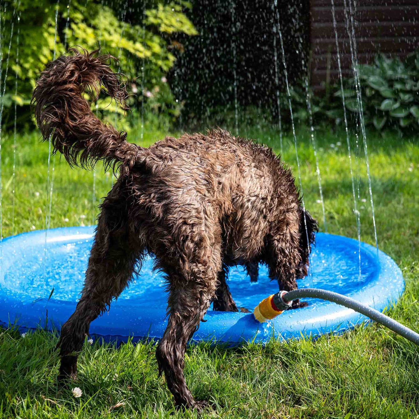 Danish Design Pet Cooling Water Sprinkler