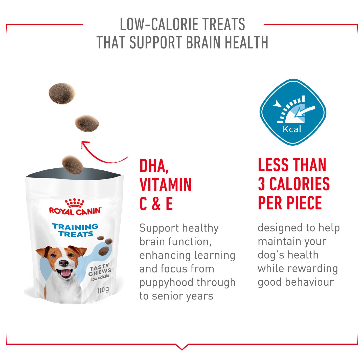 Royal Canin Dog Treats for Training - 110g