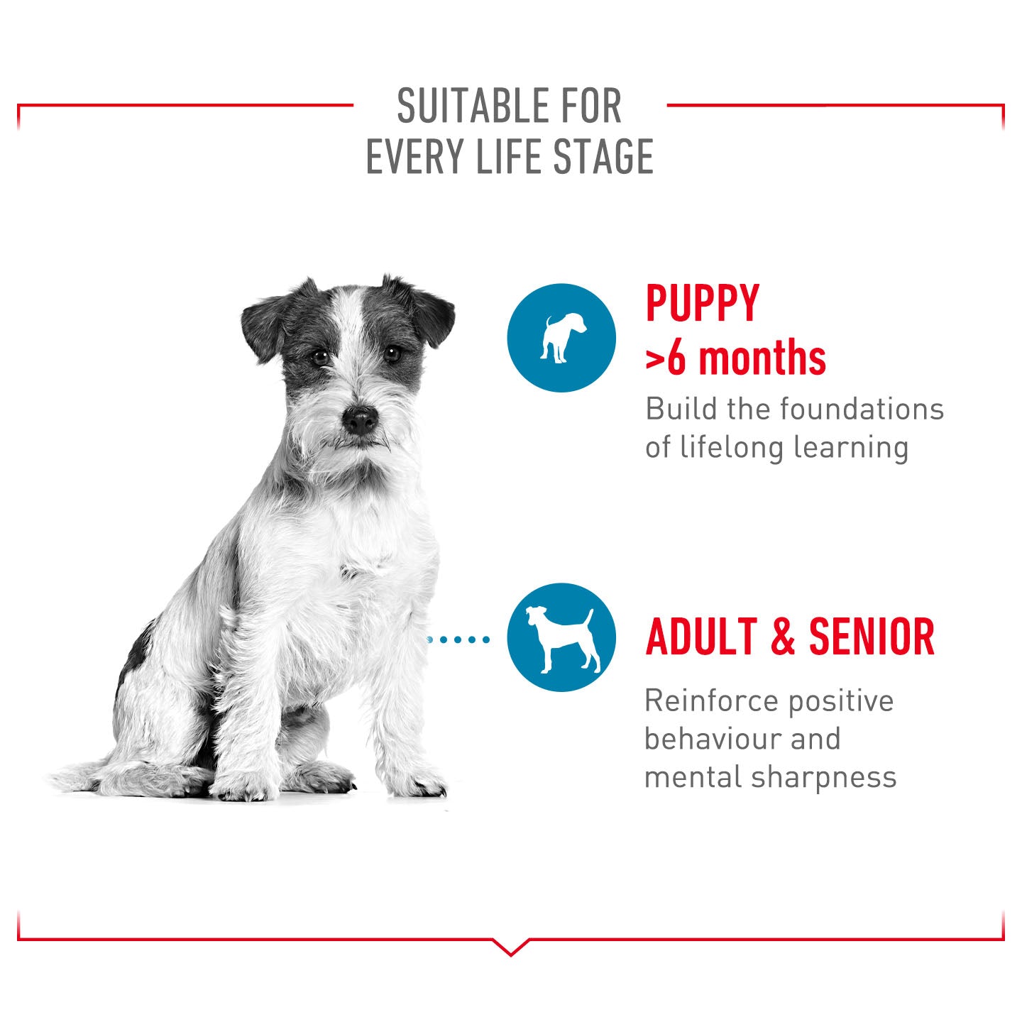 Royal Canin Dog Treats for Training - 110g