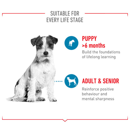 Royal Canin Dog Treats for Training - 110g