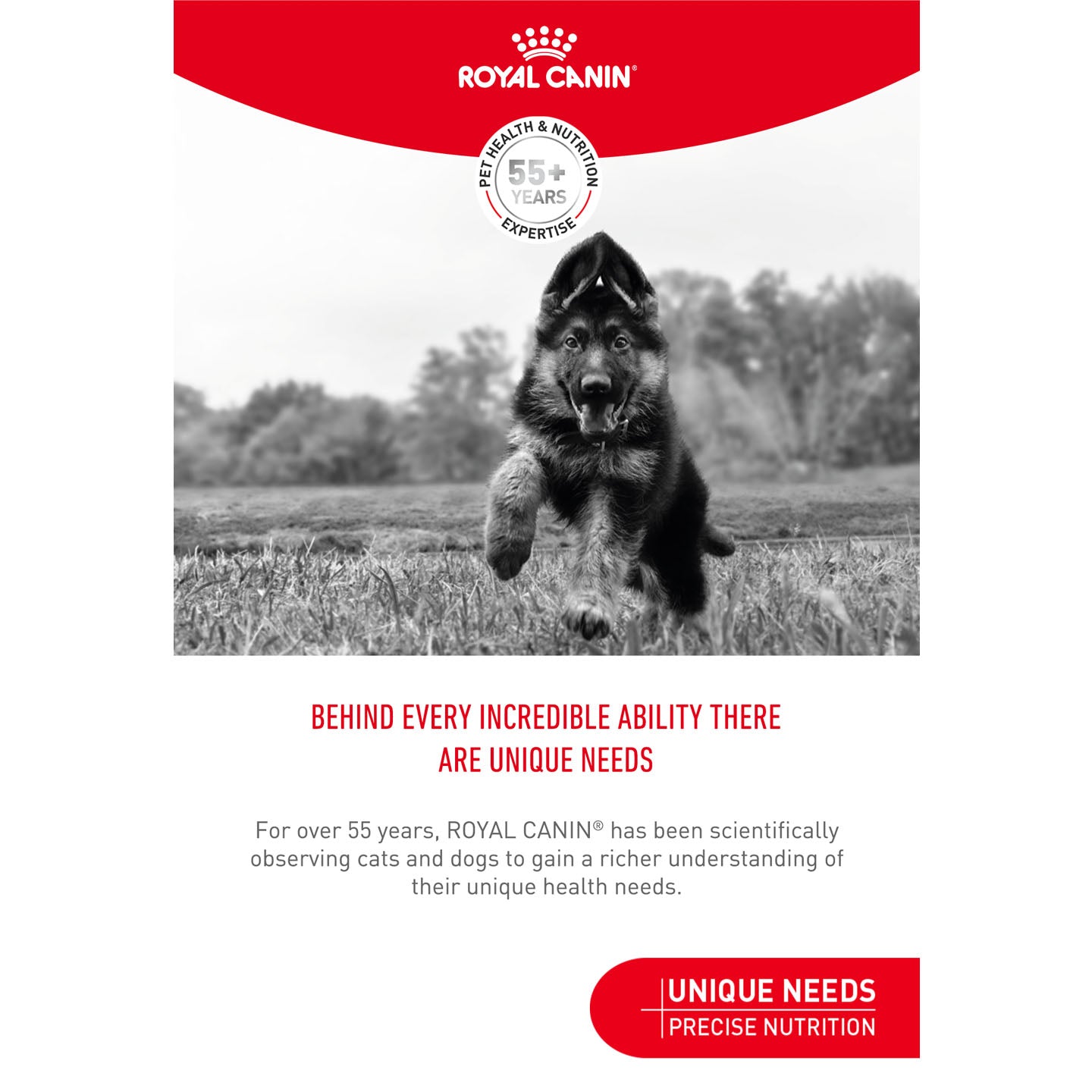 Royal Canin Dog Treats for Training - 110g