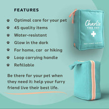 Charlie The Vet Pet First Aid Kit