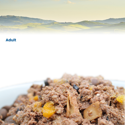 Farmina N&D Prime Adult Wet Cat Food - Wild Boar & Apple