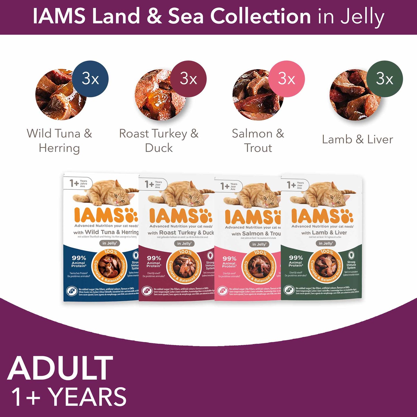 Iams Adult Wet Cat Food in Jelly - Land & Sea Collection - 12x85g Pouches