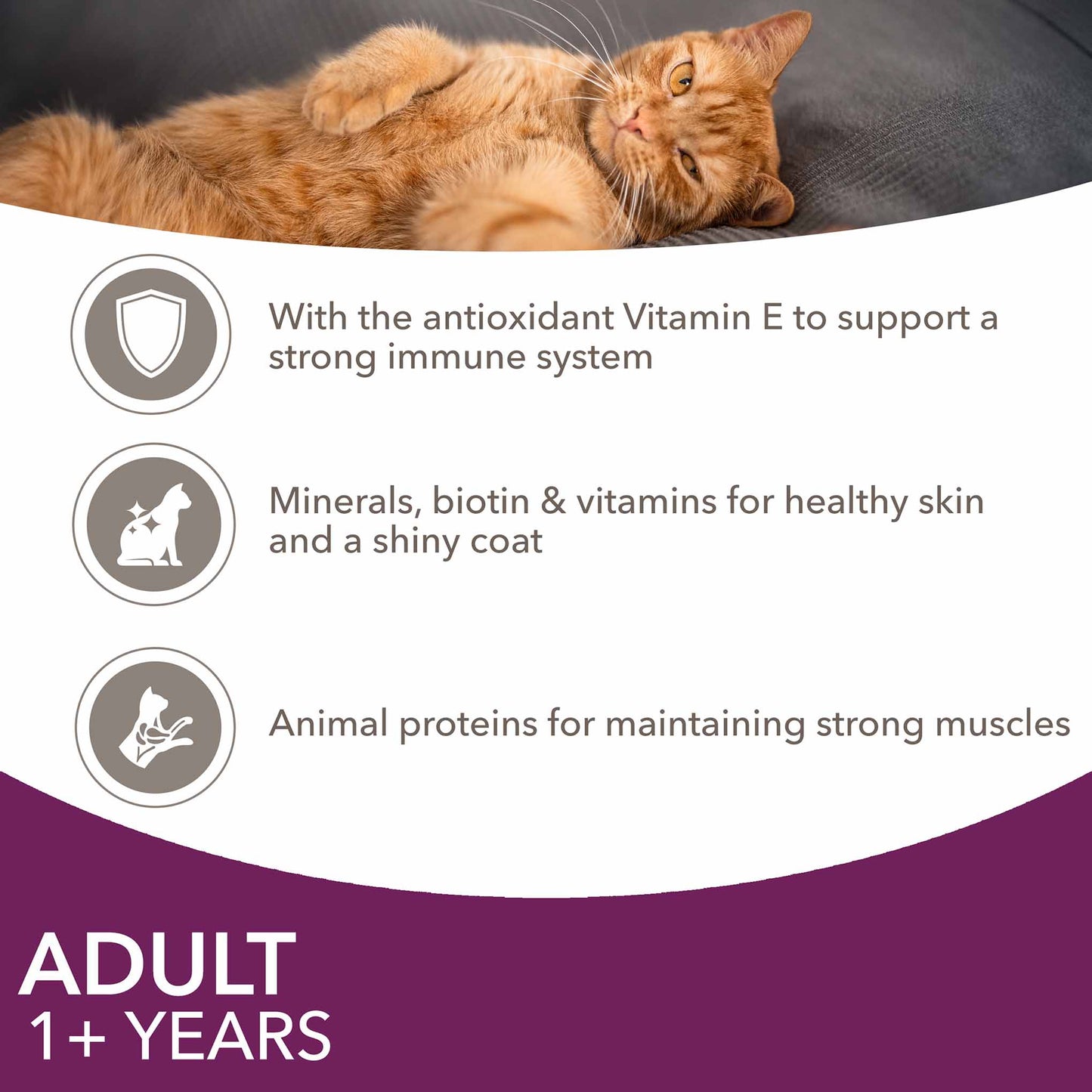 Iams Adult Wet Cat Food in Jelly - Land & Sea Collection - 12x85g Pouches