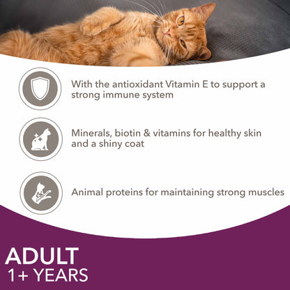 Iams Adult Wet Cat Food in Jelly - Land & Sea Collection - 12x85g Pouches