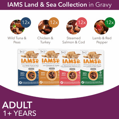 Iams Adult Wet Cat Food in Gravy - Land & Sea Collection - 48x85g Pouches