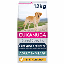 Eukanuba Breed Specific Labrador Retriever Adult Dry Dog Food