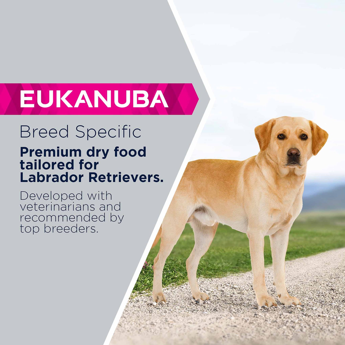 Eukanuba Breed Specific Labrador Retriever Adult Dry Dog Food