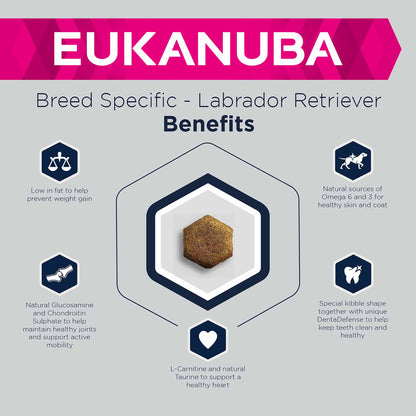 Eukanuba Breed Specific Labrador Retriever Adult Dry Dog Food