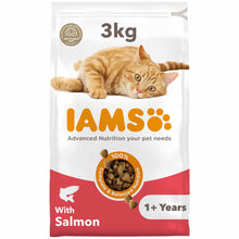 IAMS Adult Dry Cat Food - Salmon