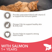 IAMS Adult Dry Cat Food - Salmon