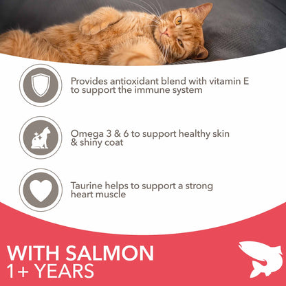 IAMS Adult Dry Cat Food - Salmon
