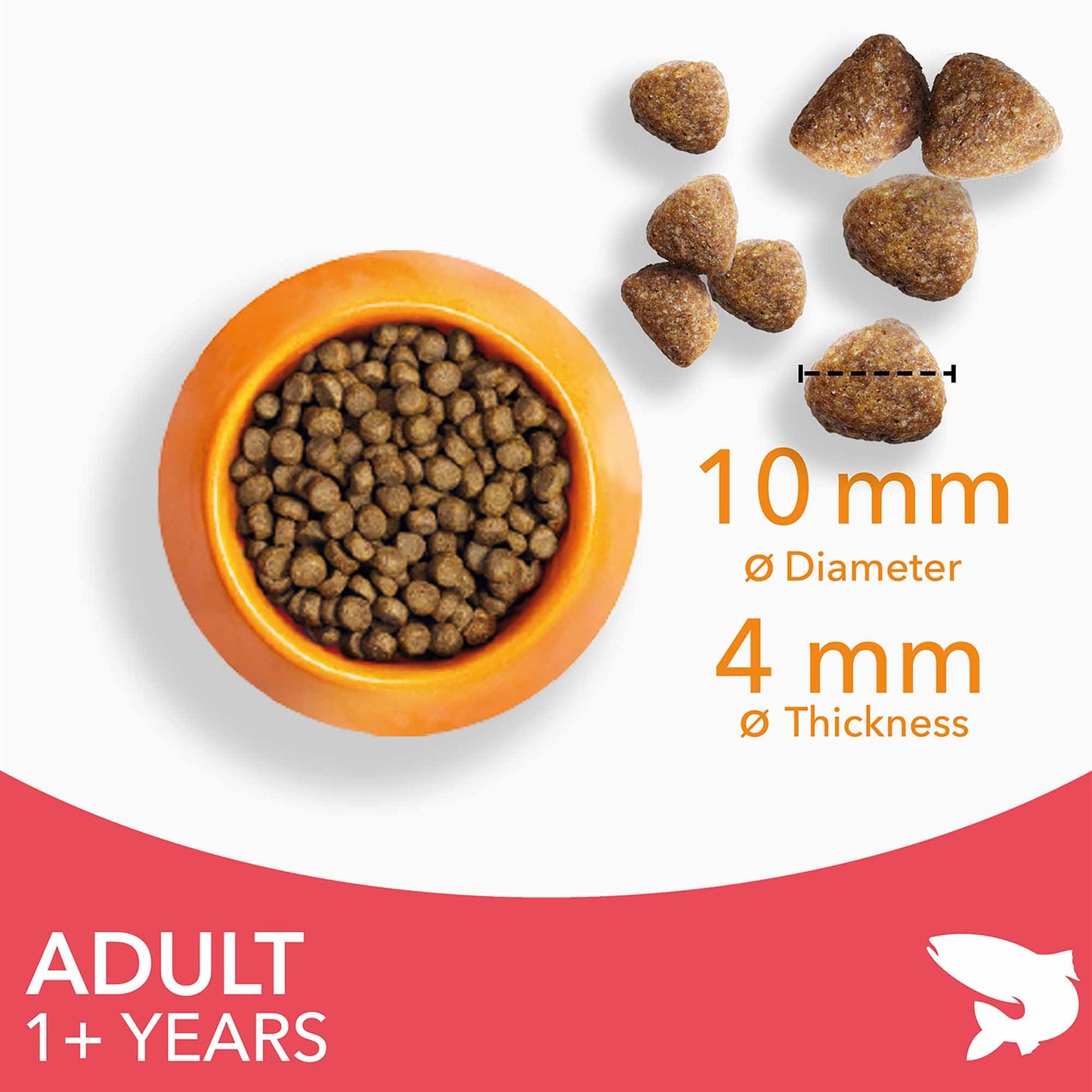 IAMS Adult Dry Cat Food - Salmon