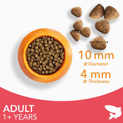 IAMS Adult Dry Cat Food - Salmon