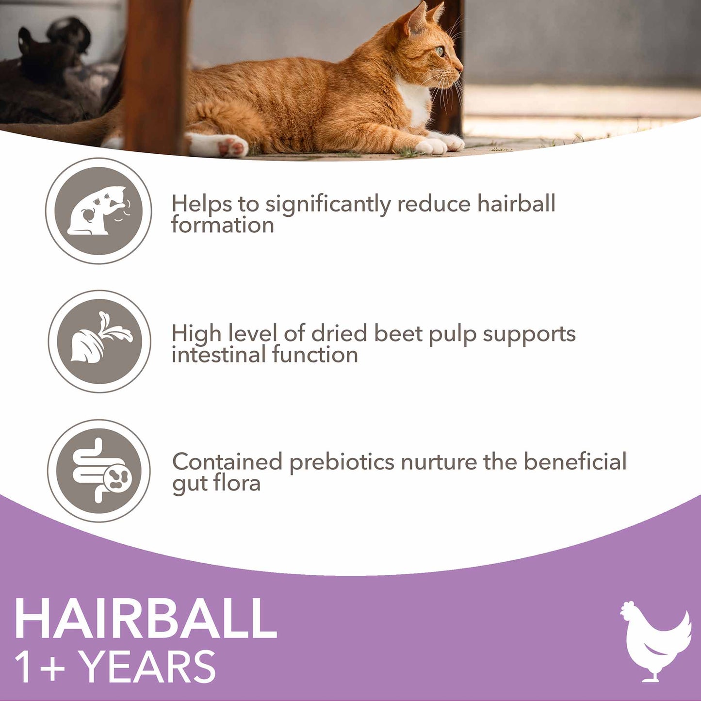 IAMS Hairball Dry Cat Food - Chicken