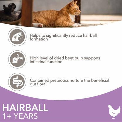 IAMS Hairball Dry Cat Food - Chicken