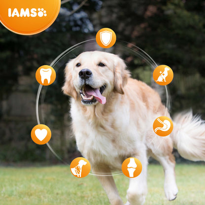 IAMS Large Breed Senior Dry Dog Food - Chicken