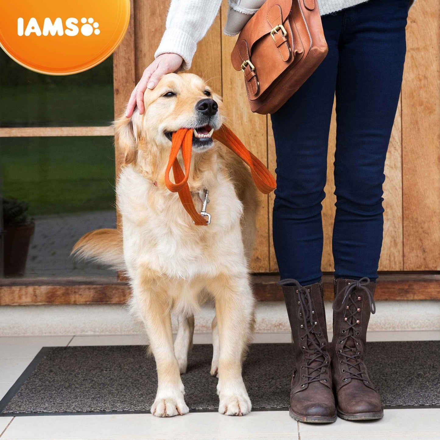 IAMS Large Breed Senior Dry Dog Food - Chicken