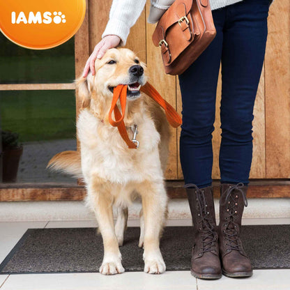 IAMS Large Breed Senior Dry Dog Food - Chicken