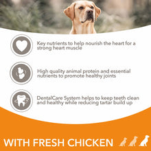 IAMS Large Breed Senior Dry Dog Food - Chicken