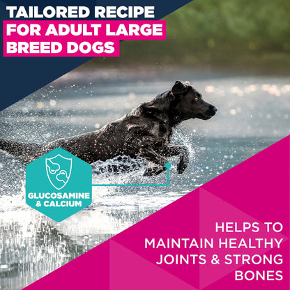 Eukanuba Large Breed Adult Dry Dog Food - Chicken