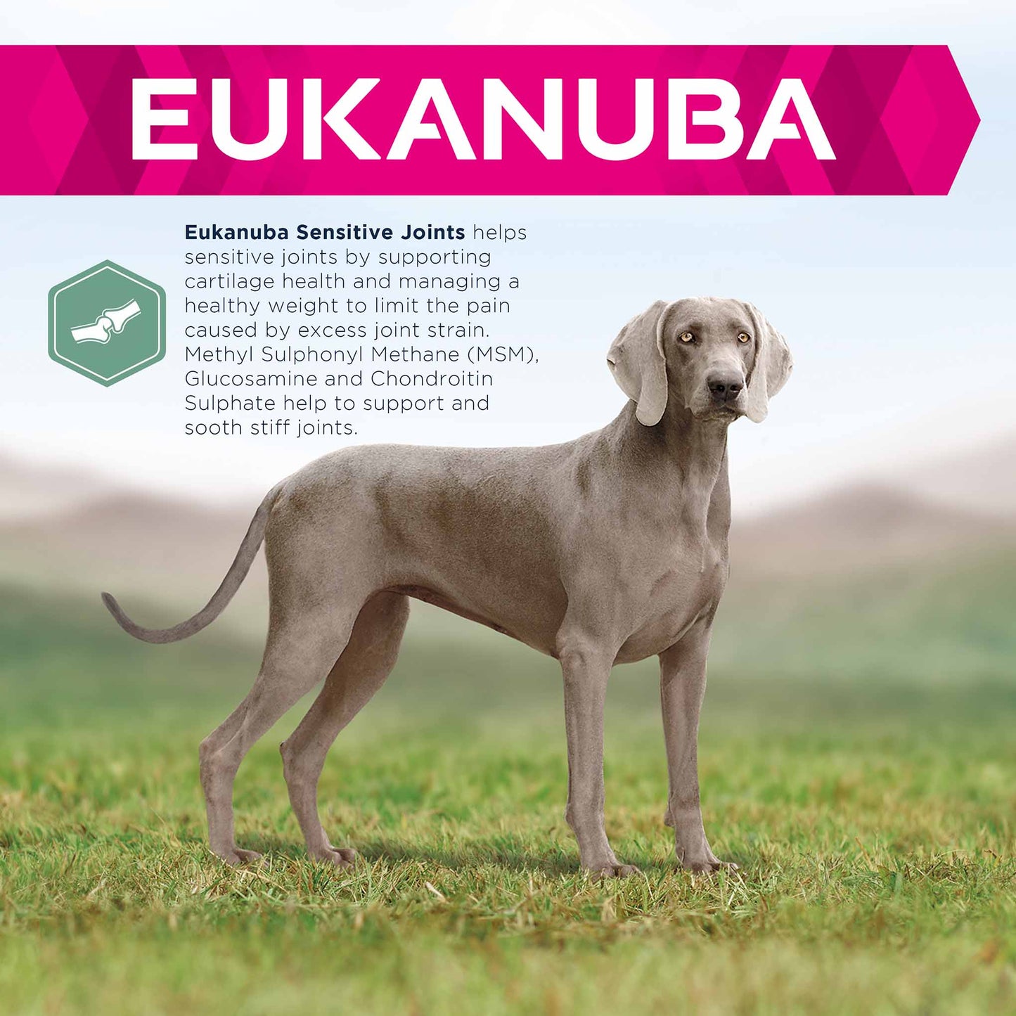 Eukanuba Daily Care Adult 1+ Years Sensitive Joints Dog Food