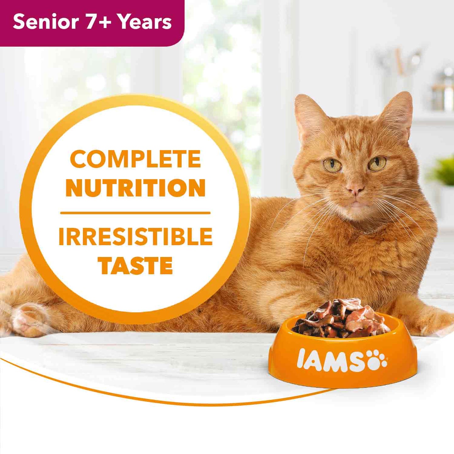 Iams Senior Wet Cat Food in Gravy - Land & Sea Collection - 12x85g Pouches