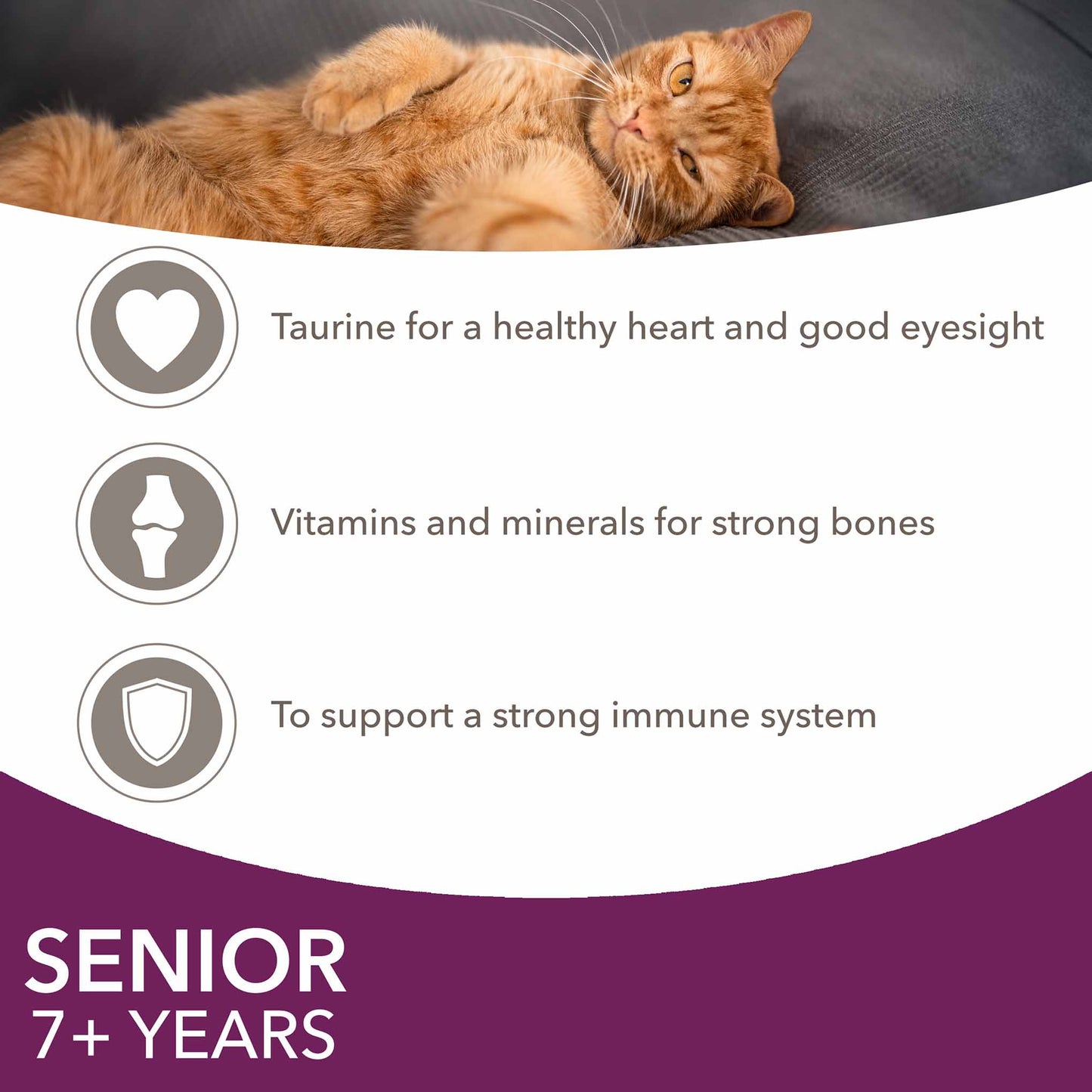 Iams Senior Wet Cat Food in Gravy - Land & Sea Collection - 12x85g Pouches