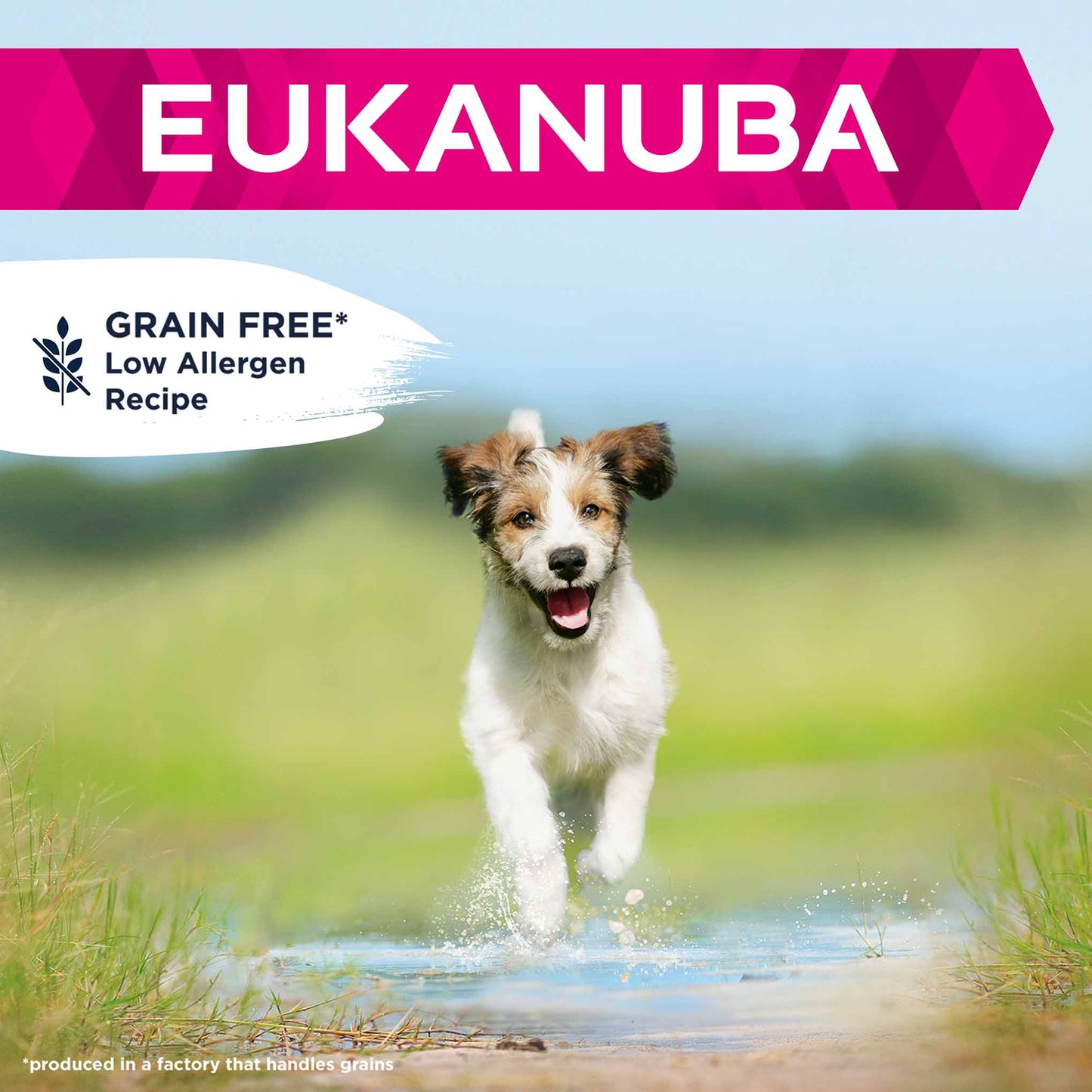 Eukanuba Grain Free Small/Medium Breed Puppy&Junior Dry Dog Food - Ocean Fish