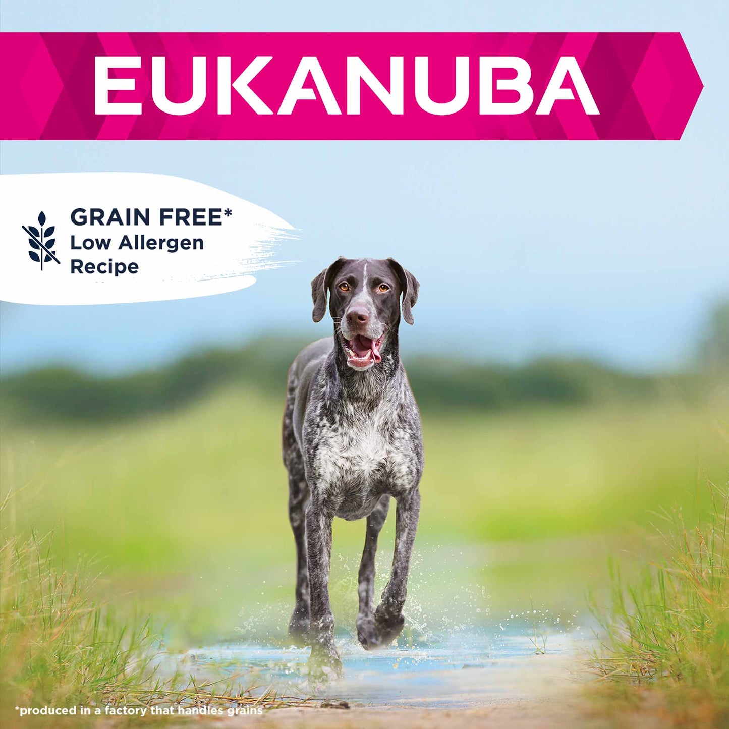 Eukanuba Grain Free Large Breed Adult Dry Dog Food - Ocean Fish