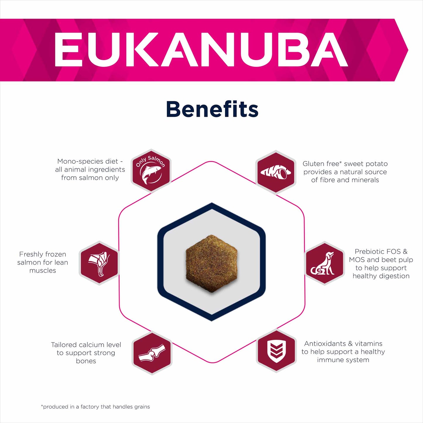 Eukanuba Daily Care Mono Protein Adult Dry Dog Food - Salmon