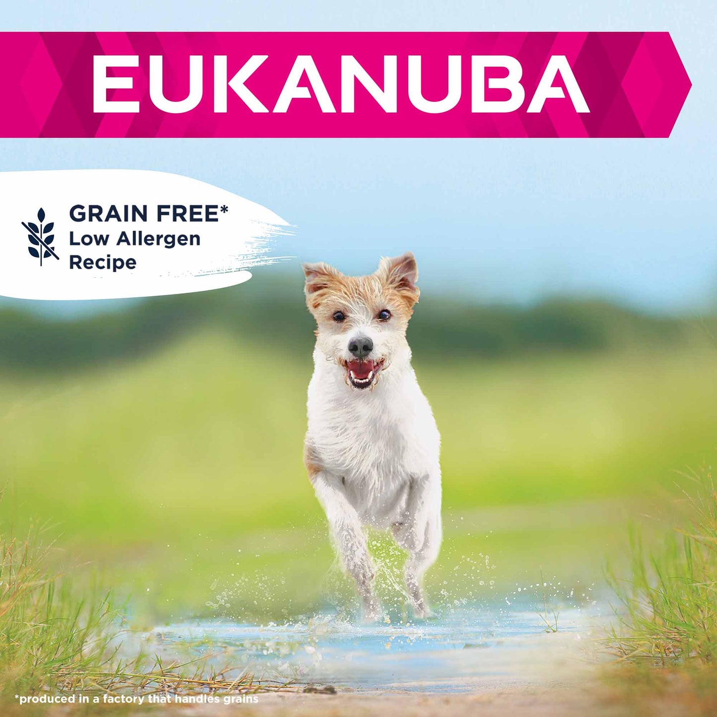 Eukanuba Grain Free Small/Medium Breed Senior Dry Dog Food - Ocean Fish