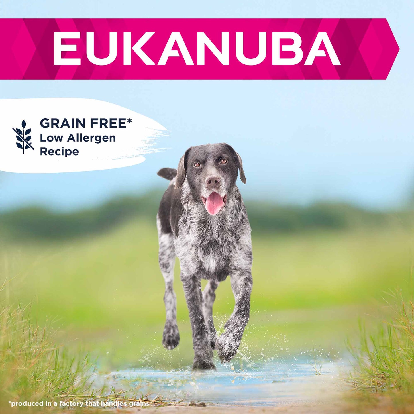 Eukanuba Grain Free Large Breed Senior Dry Dog Food - Ocean Fish