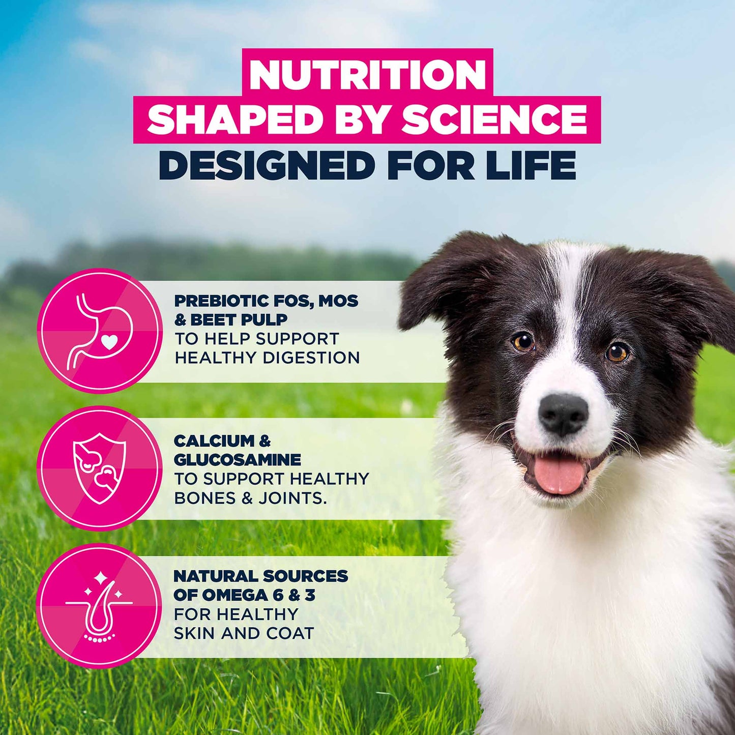 Eukanuba Medium Breed Puppy Food - Chicken